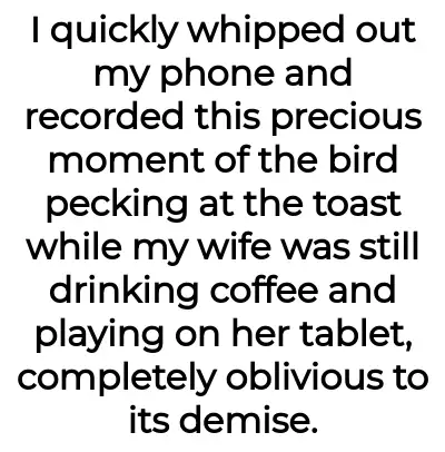 Image credit: bird_and_toast | bird_and_toast