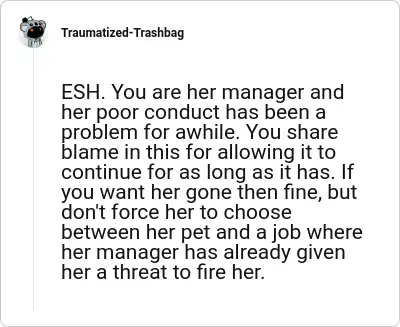 Image credit: Traumatized-Trashbag | Traumatized-Trashbag