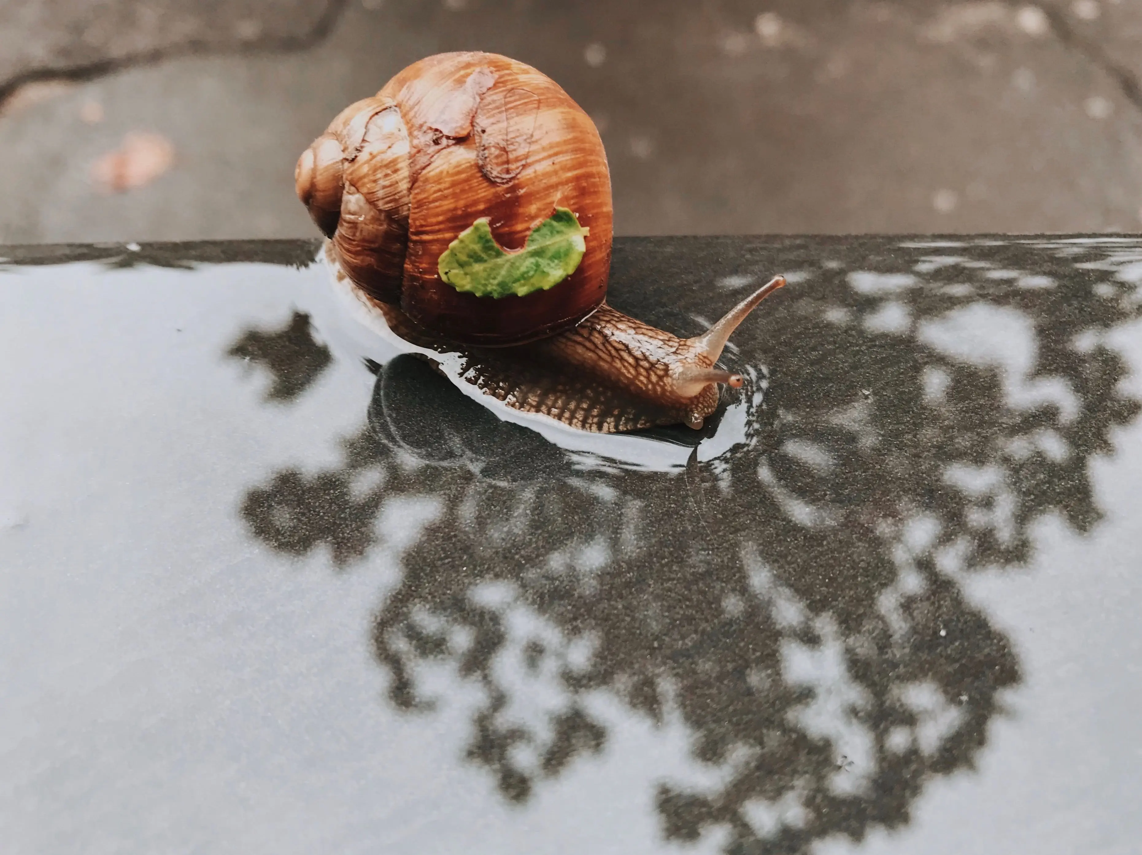 Image credit: Unsplash | Ioana Cristiana