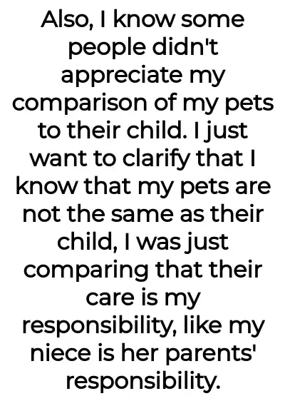 Image credit: thebaythoroughbred | thebaythoroughbred