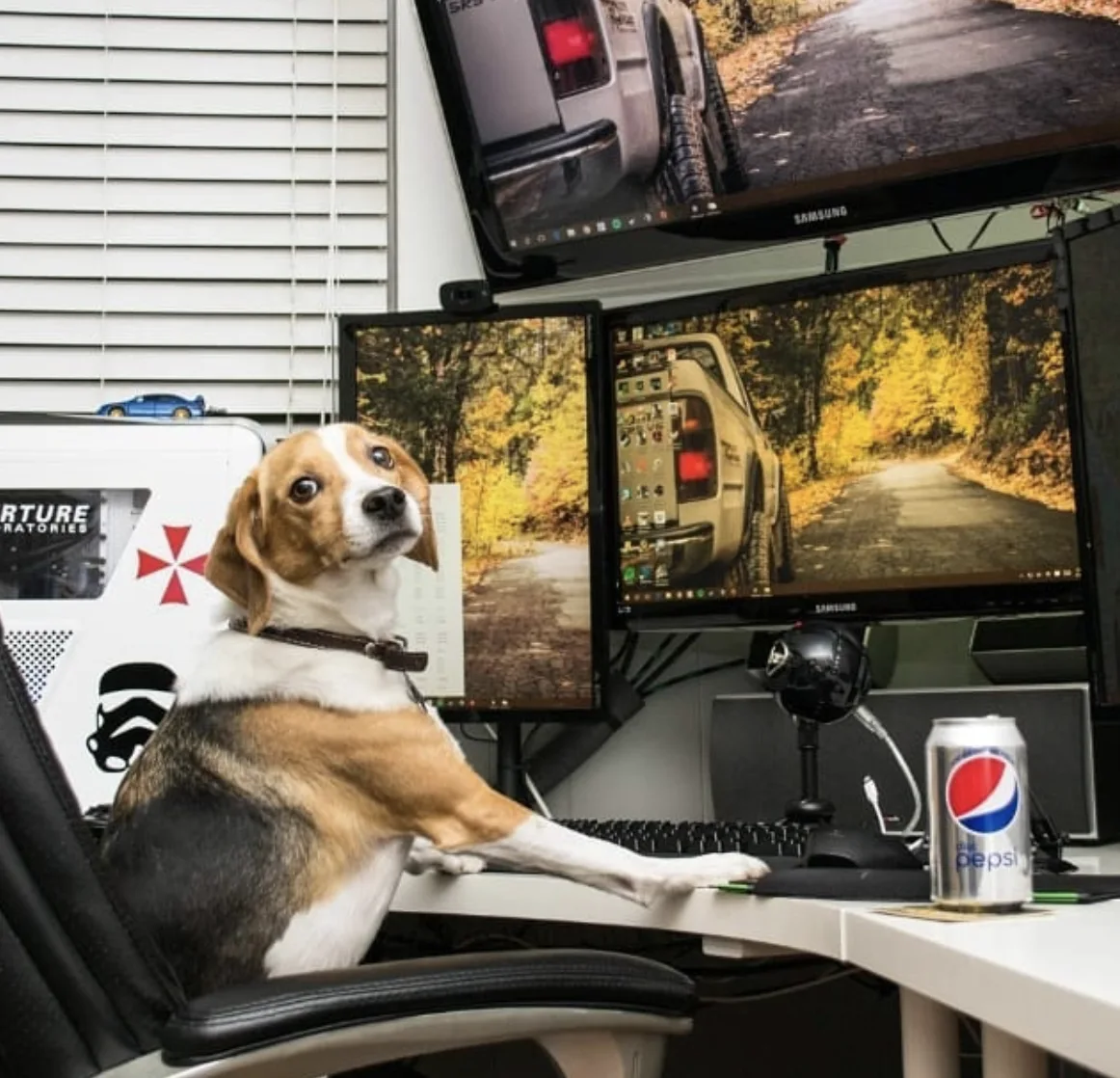 Image credit: Instagram | doggo_pc_tech