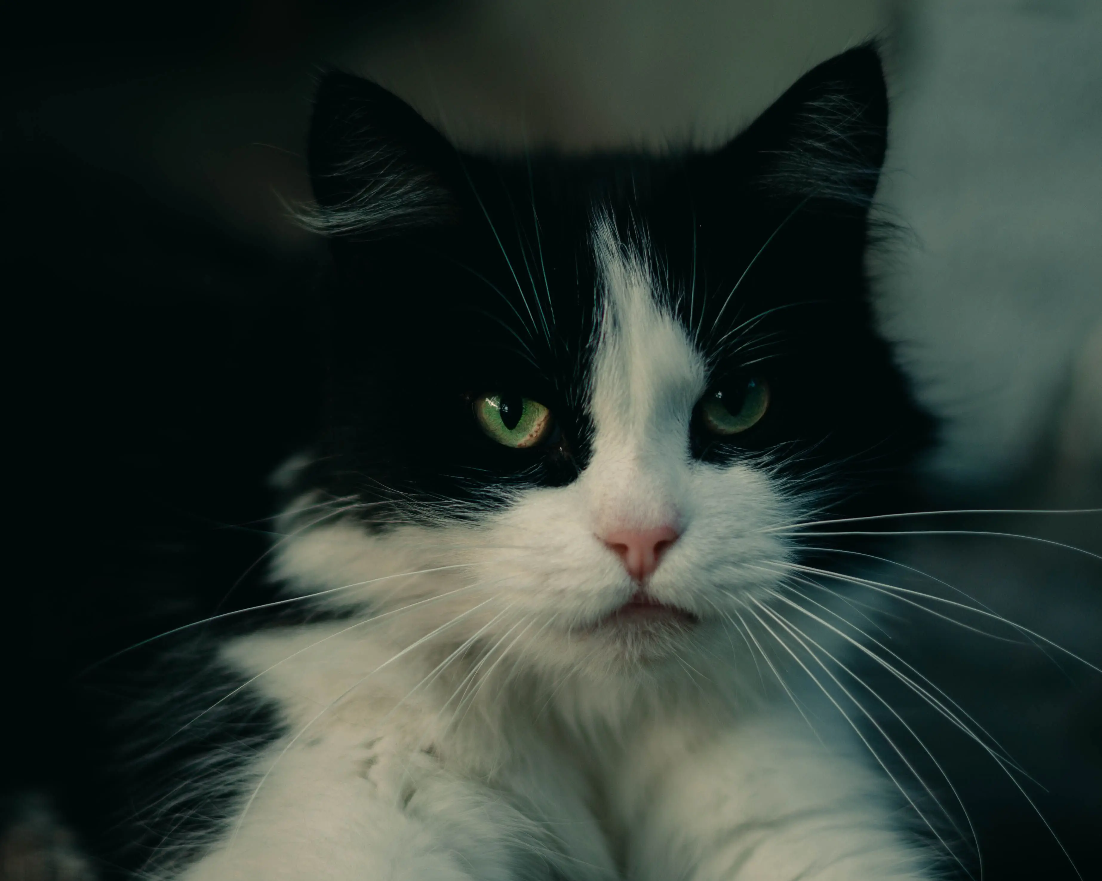 Image credit: Unsplash | Nikita Vinogradov