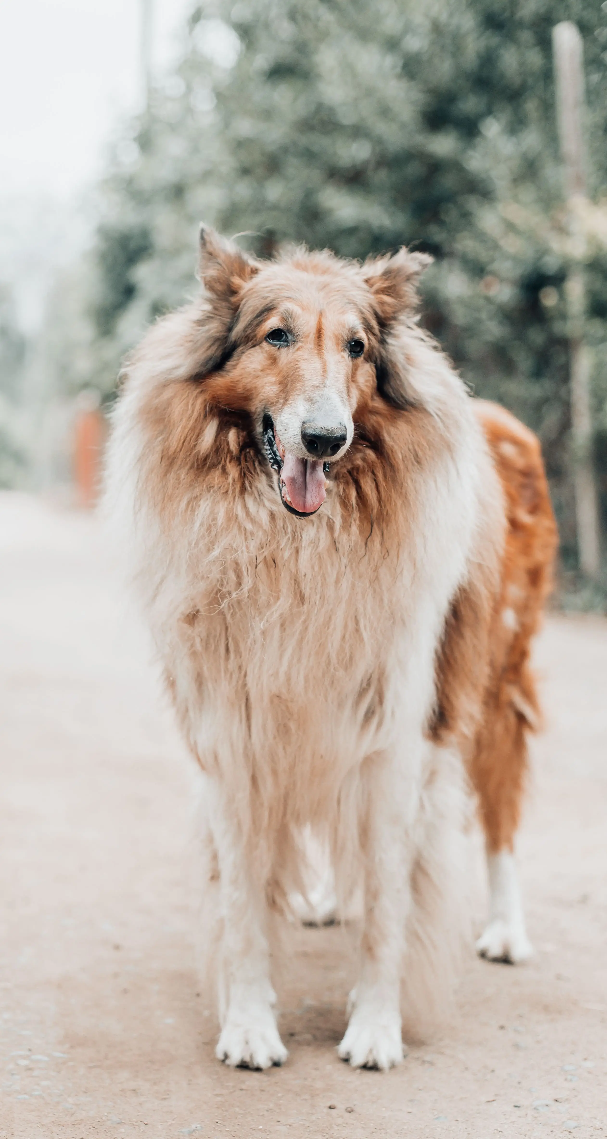 Image credit: Unsplash | Jorge De la pena
