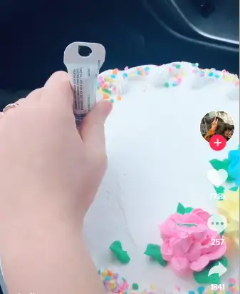Image credit: TikTok | Alyssa Jackson