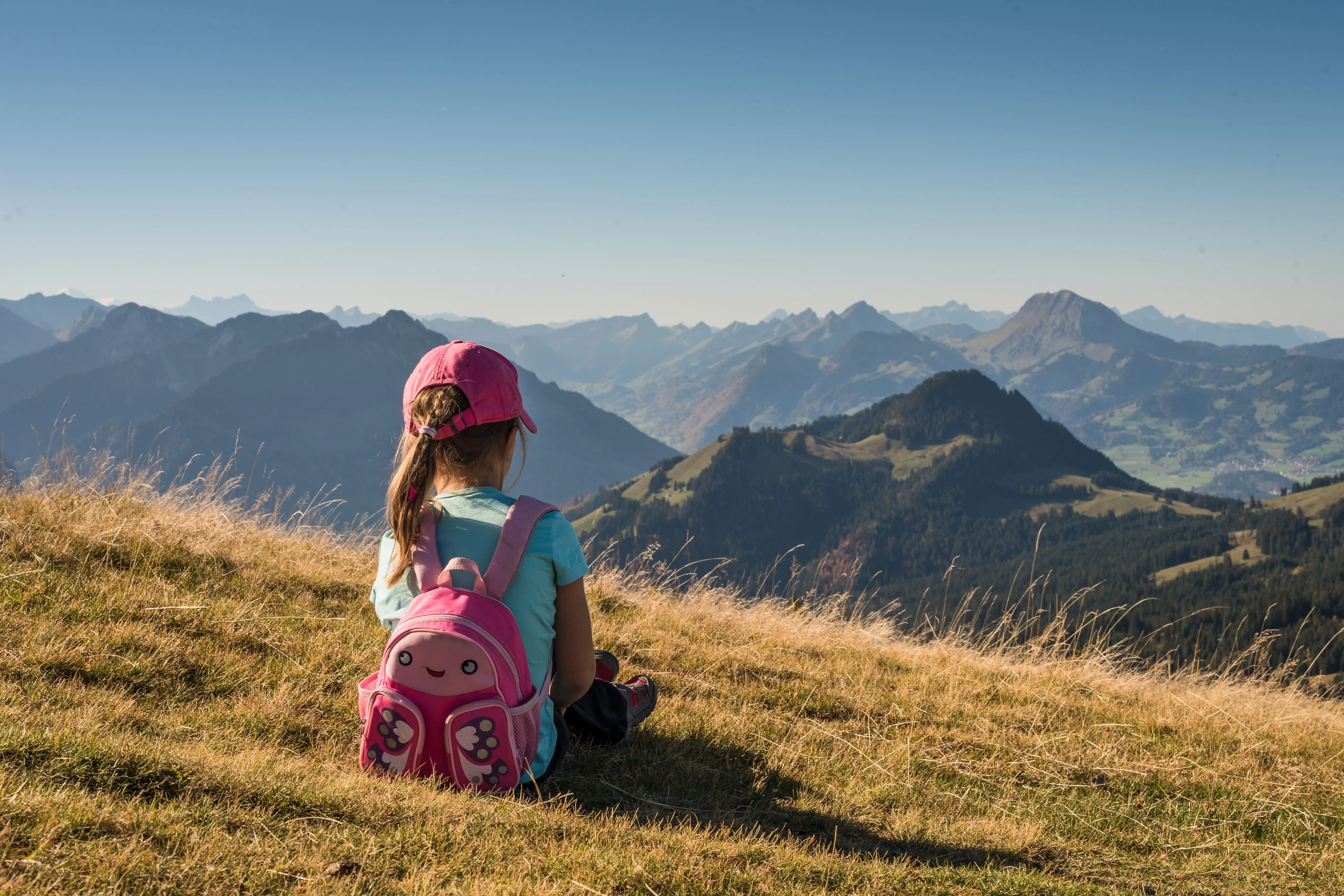 Image credit: Unsplash | S&B Vonlanthen