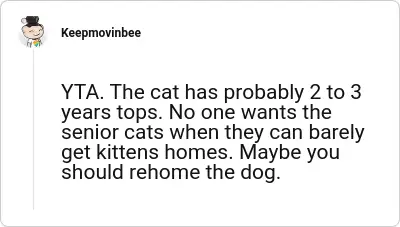 Image credit: Keepmovinbee | Keepmovinbee