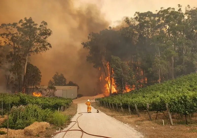 Image credit: Facebook | Eden Hills Country Fire Service