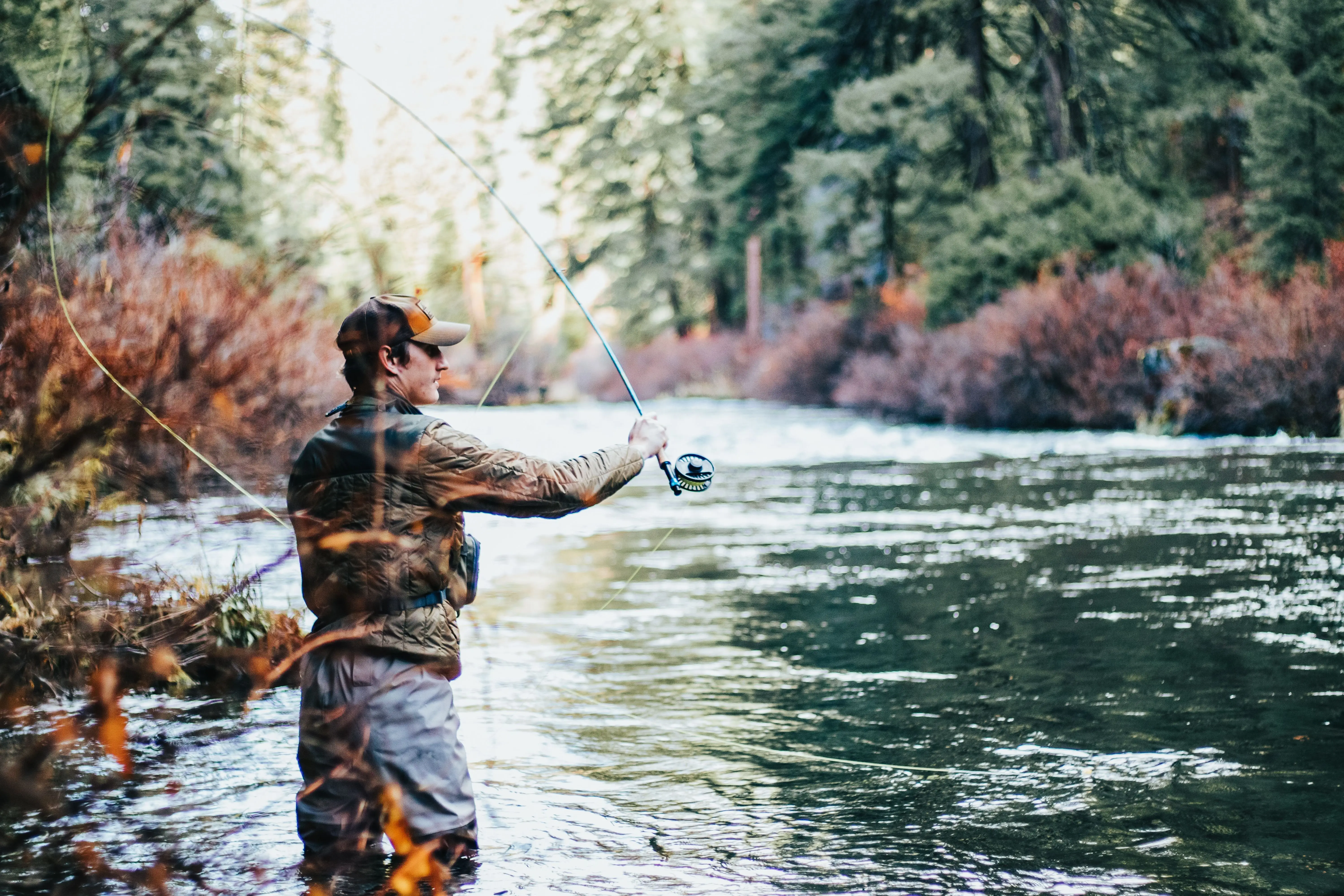 Image credit: Unsplash | Greysen Johnson