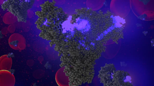 Image credit: Northwestern University