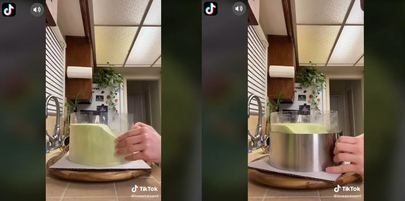 Image credit: TikTok | @lovesicksami