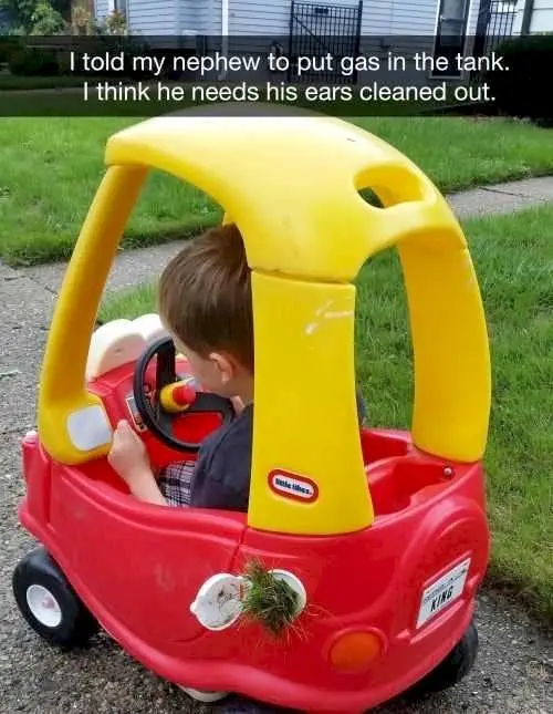 Image credit: Reddit | HerpDerpenberg