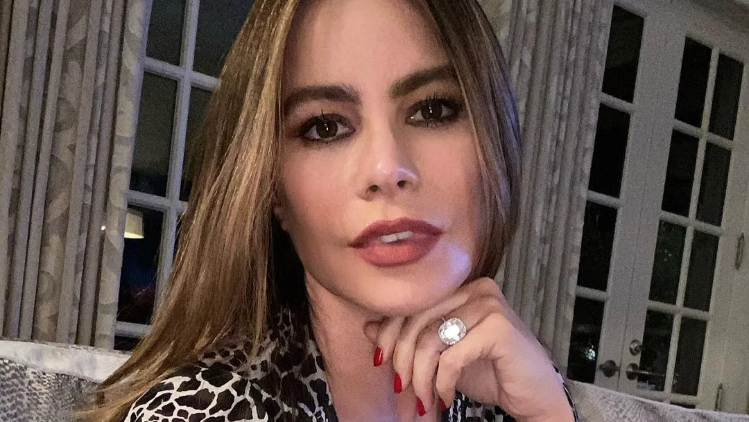 Image credit: Instagram | @sofiavergara