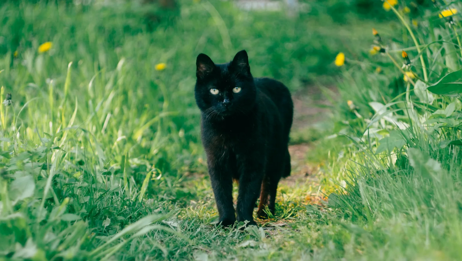 Image credit: Unsplash | Daria Shatova