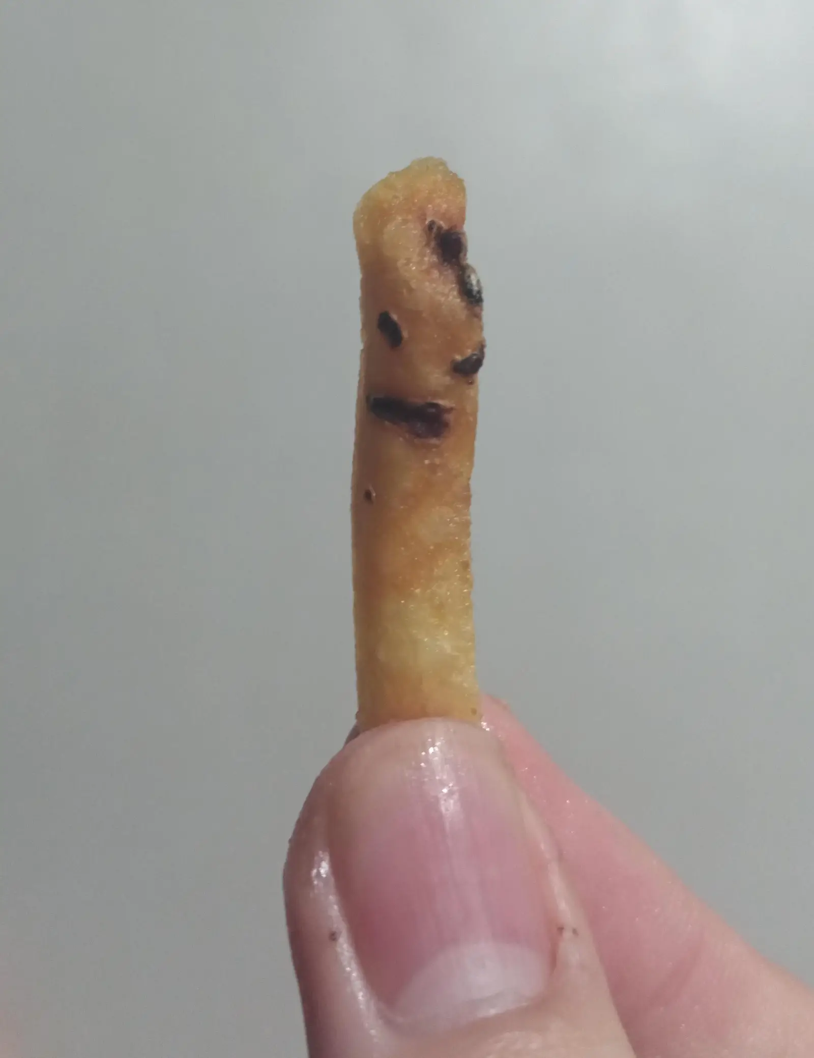 Image credit: Reddit | AGAW07
