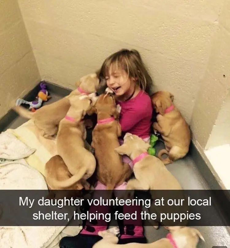 Image credit: Reddit | mayaxs