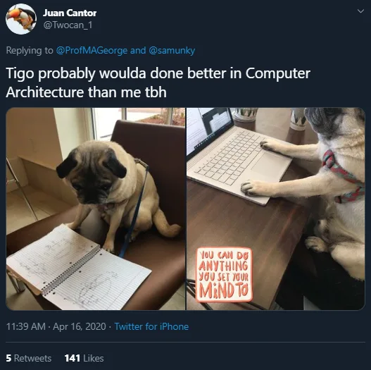 Image credit: Twitter | @Twocan_1
