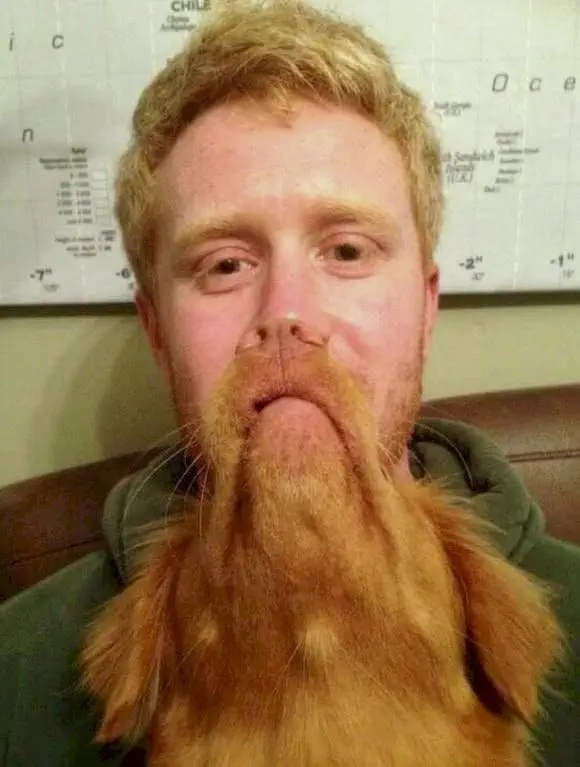 Image credit: Reddit | barscarsandguitars