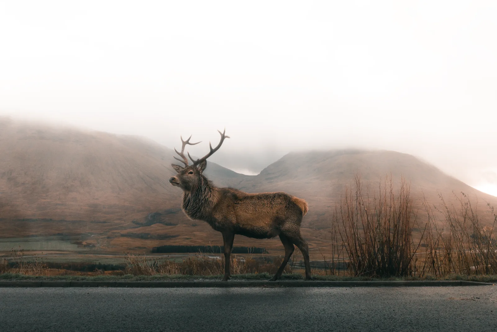 Image credit: Unsplash | Asa Rodger