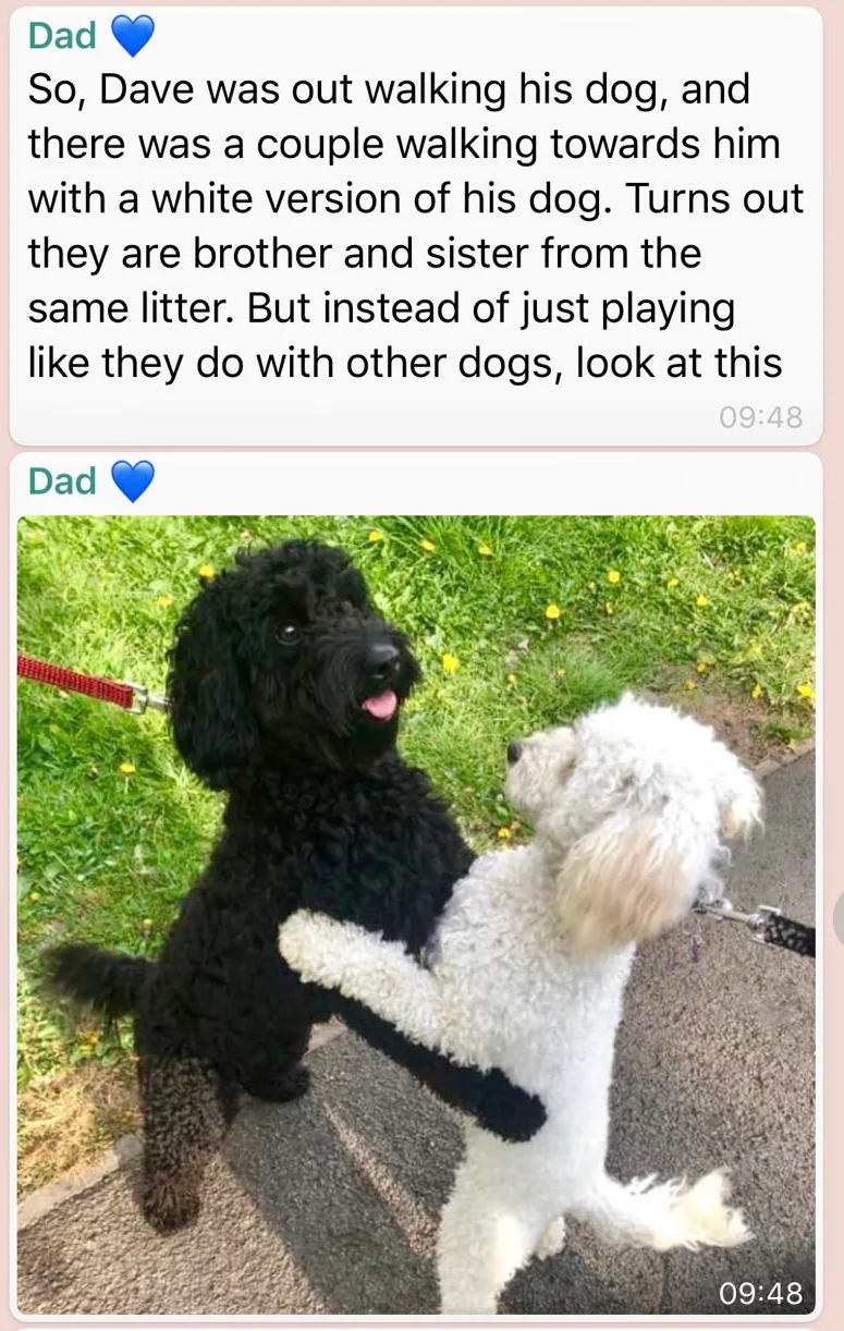 Image credit: Twitter | @libpincher