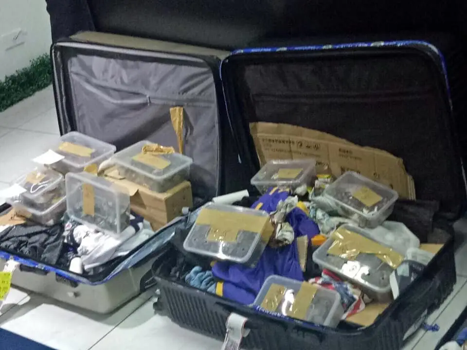 Image credit: Facebook | Bureau of Customs NAIA