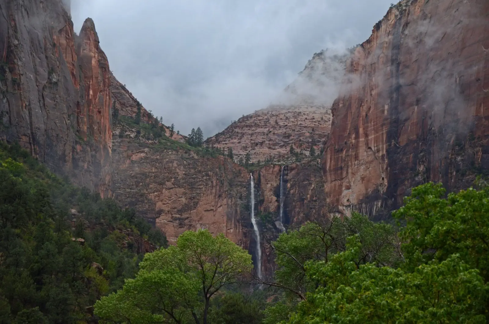 Image credit: Facebook | Zion National Park
