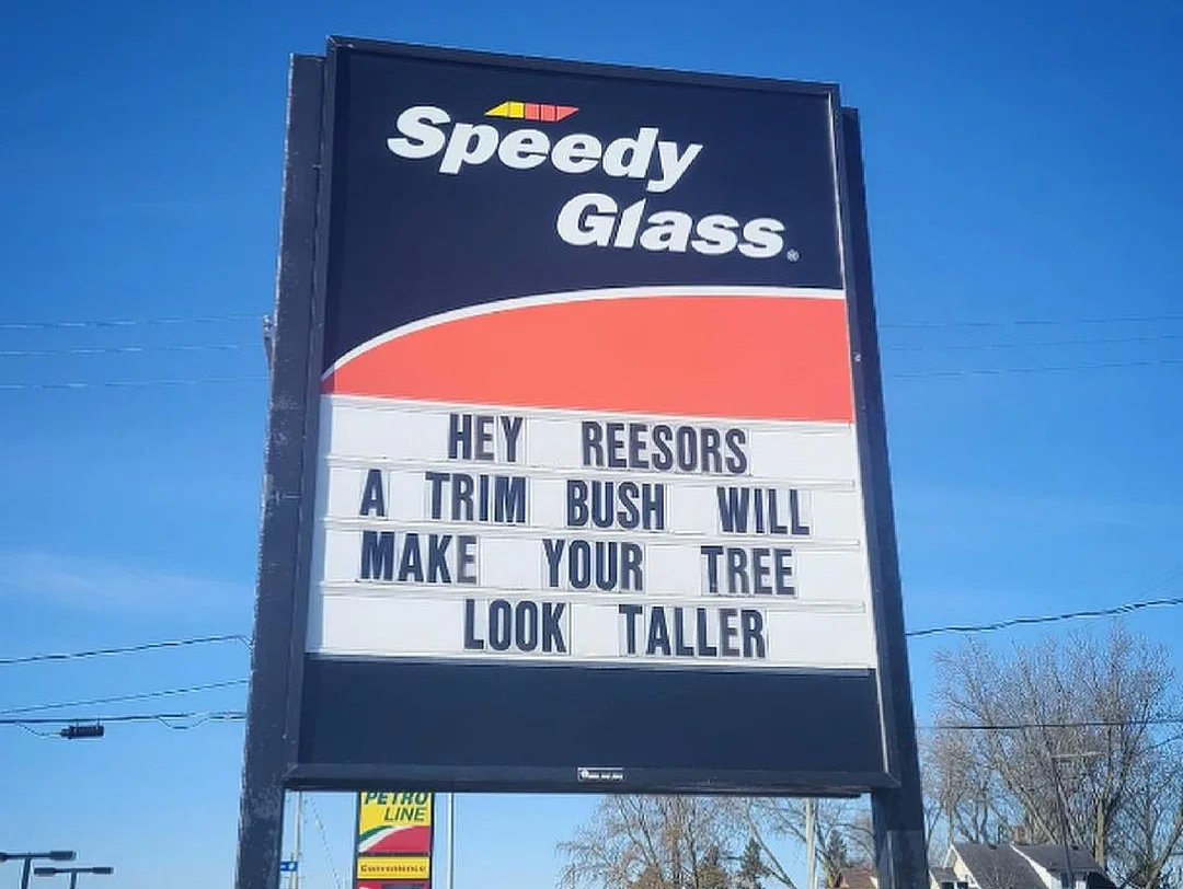 Image credit: Instagram | @speedyglasslistowel