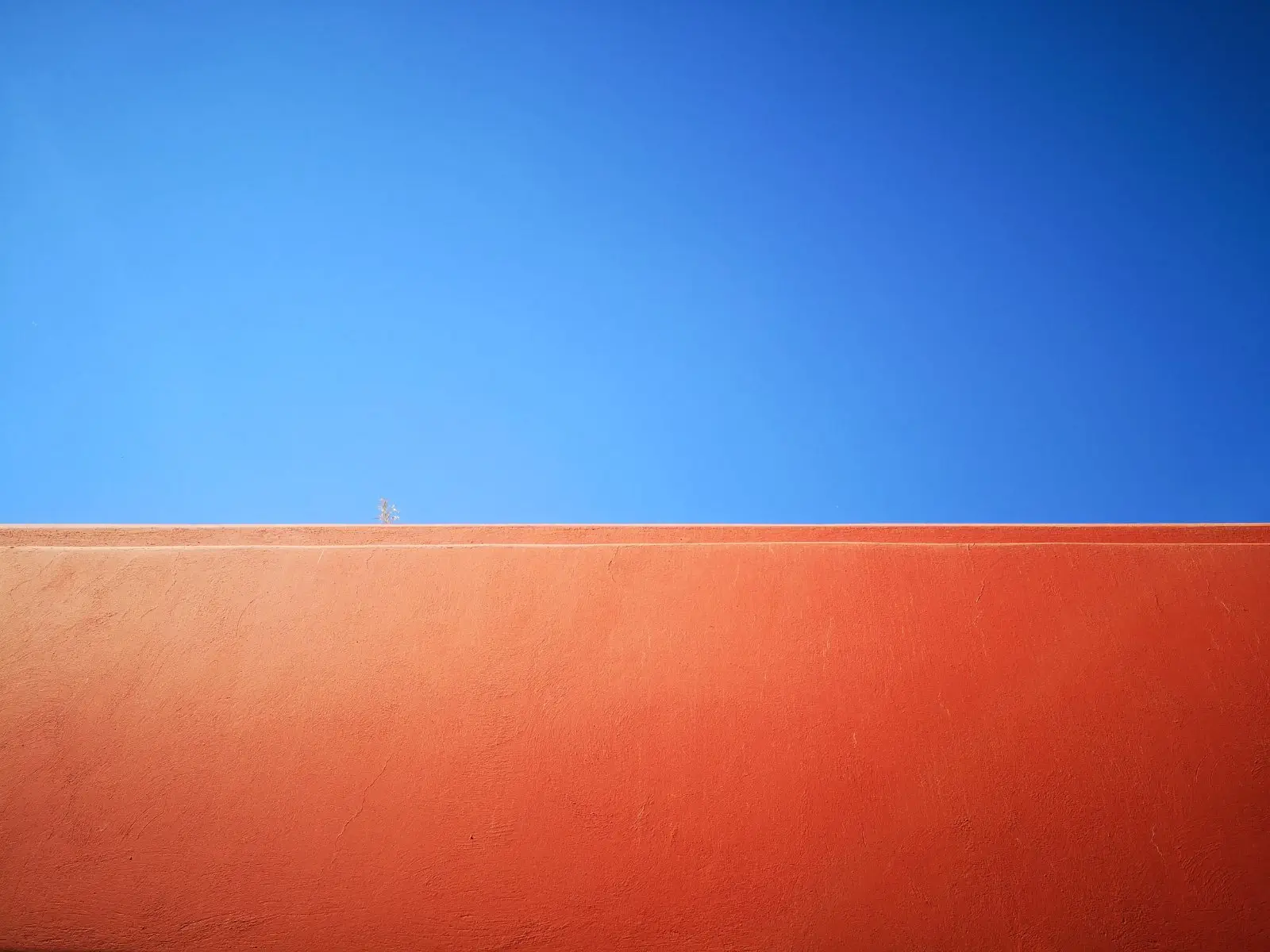 Image credit: Unsplash | Jac Alexandru