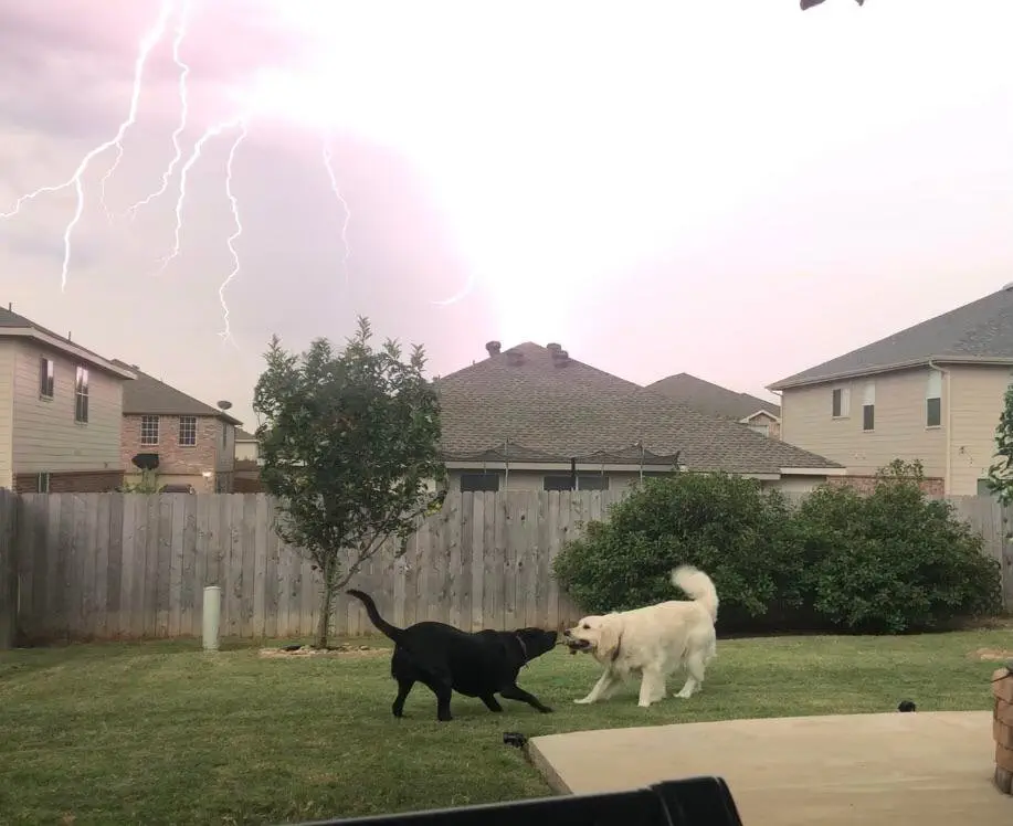 Image credit: Reddit | skrillbert8