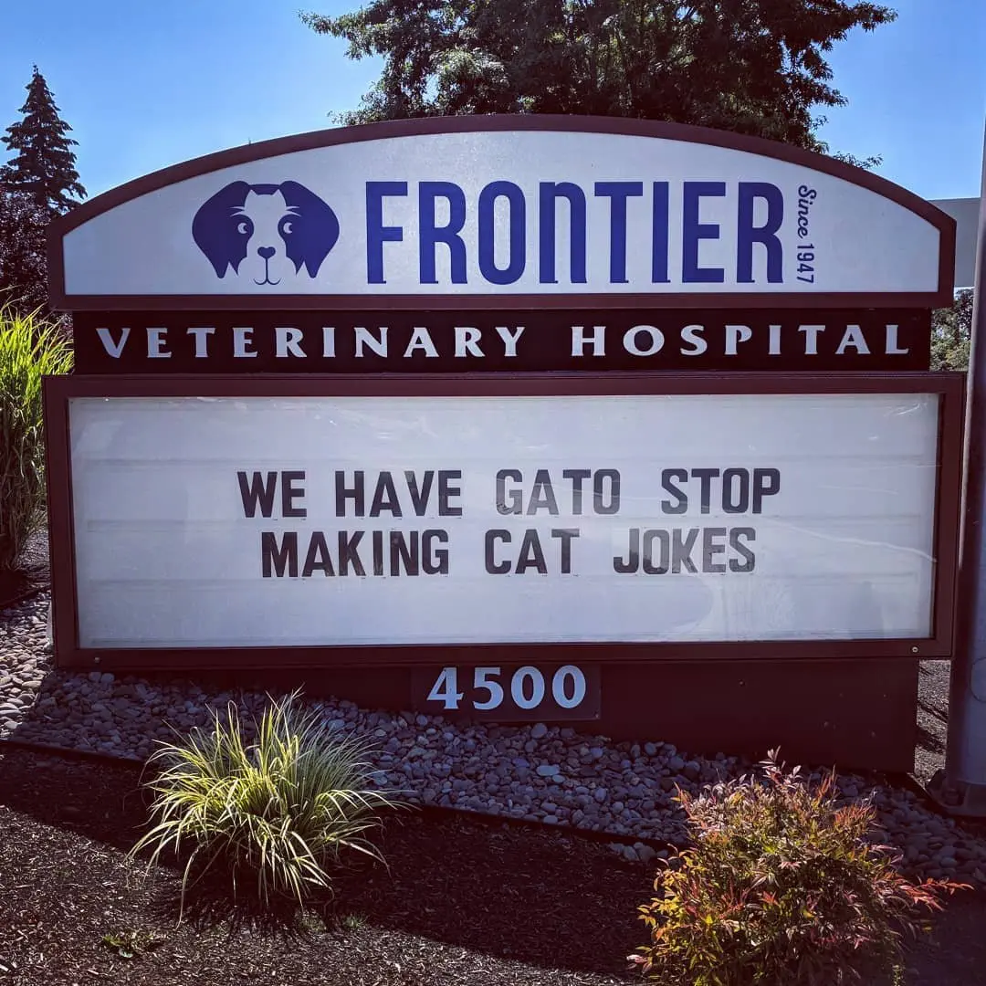 Image credit: Instagram | @frontiervet