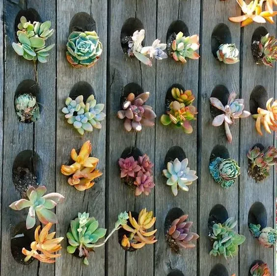 Image credit: Pinterest