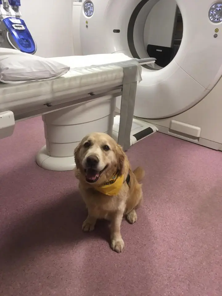 Image credit: Southampton Children's Hospital AAI Team