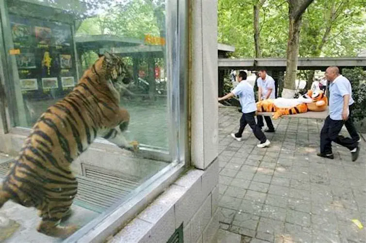 Image credit: reddit | TheHighFlyer
