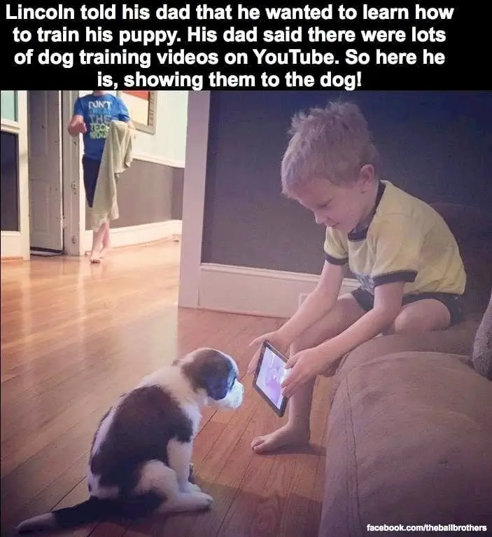 Image credit: Reddit | qpaenumw