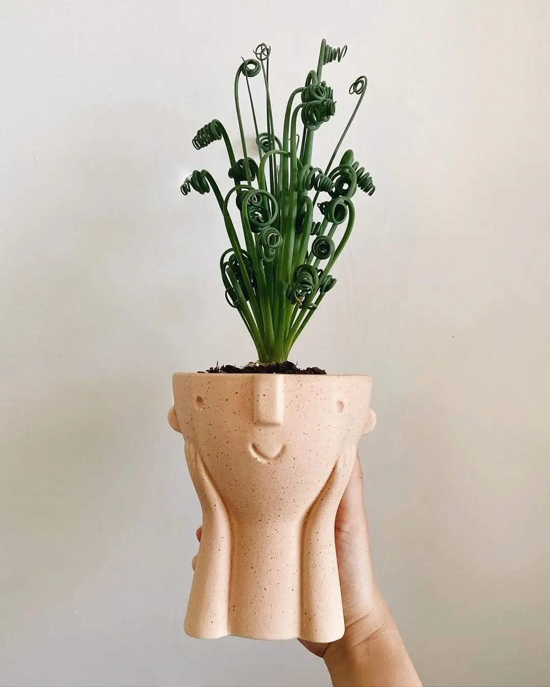 Image credit: Instagram | @alienplantit