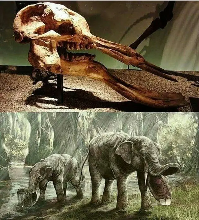 Image credit: Reddit | Theoson
