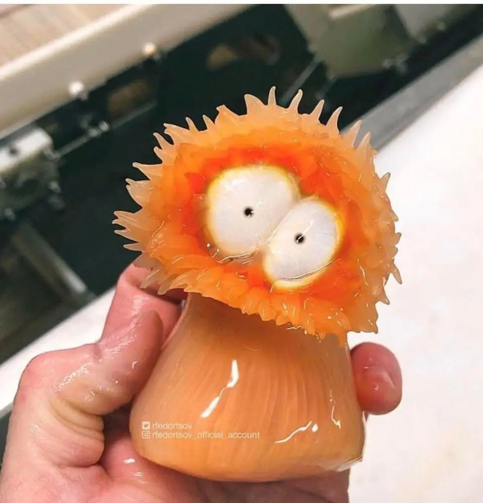 Image credit: Pumpka_Mew