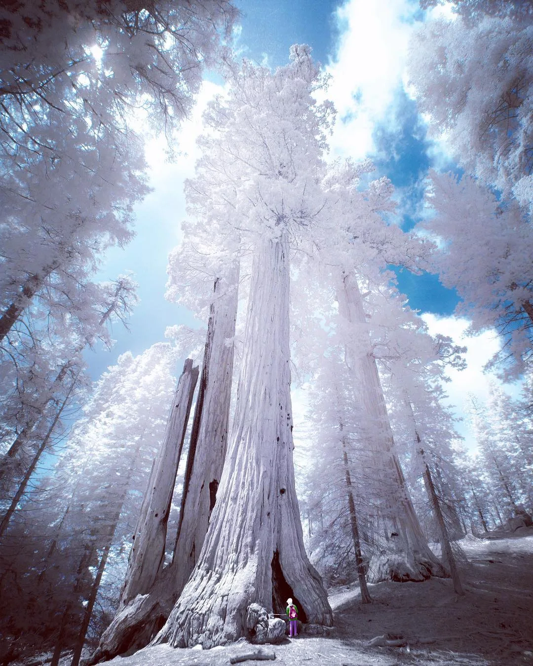 Image credit: Instagram | @samuel_lethier
