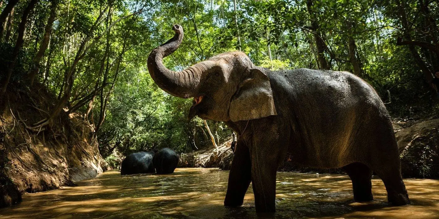 Image credit: Facebook | San Antonio Zoo
