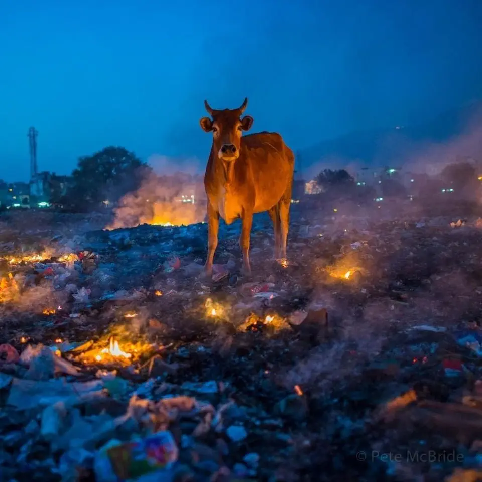 Image credit: Reddit | jainswapnil52