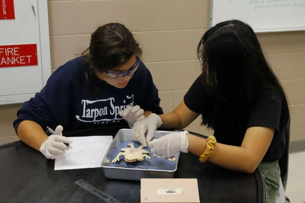 Image credit: SynDaver