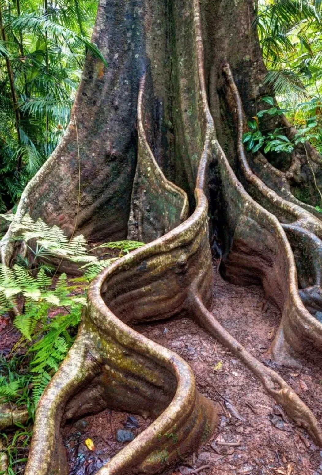 Image credit: Reddit | Palana