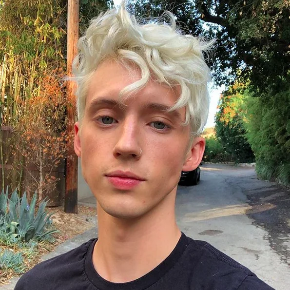 Image credit: Instagram | @troyesivan