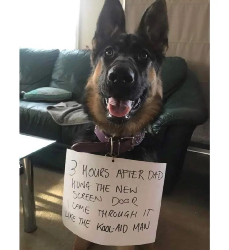 Image credit: Reddit | sierranotserena