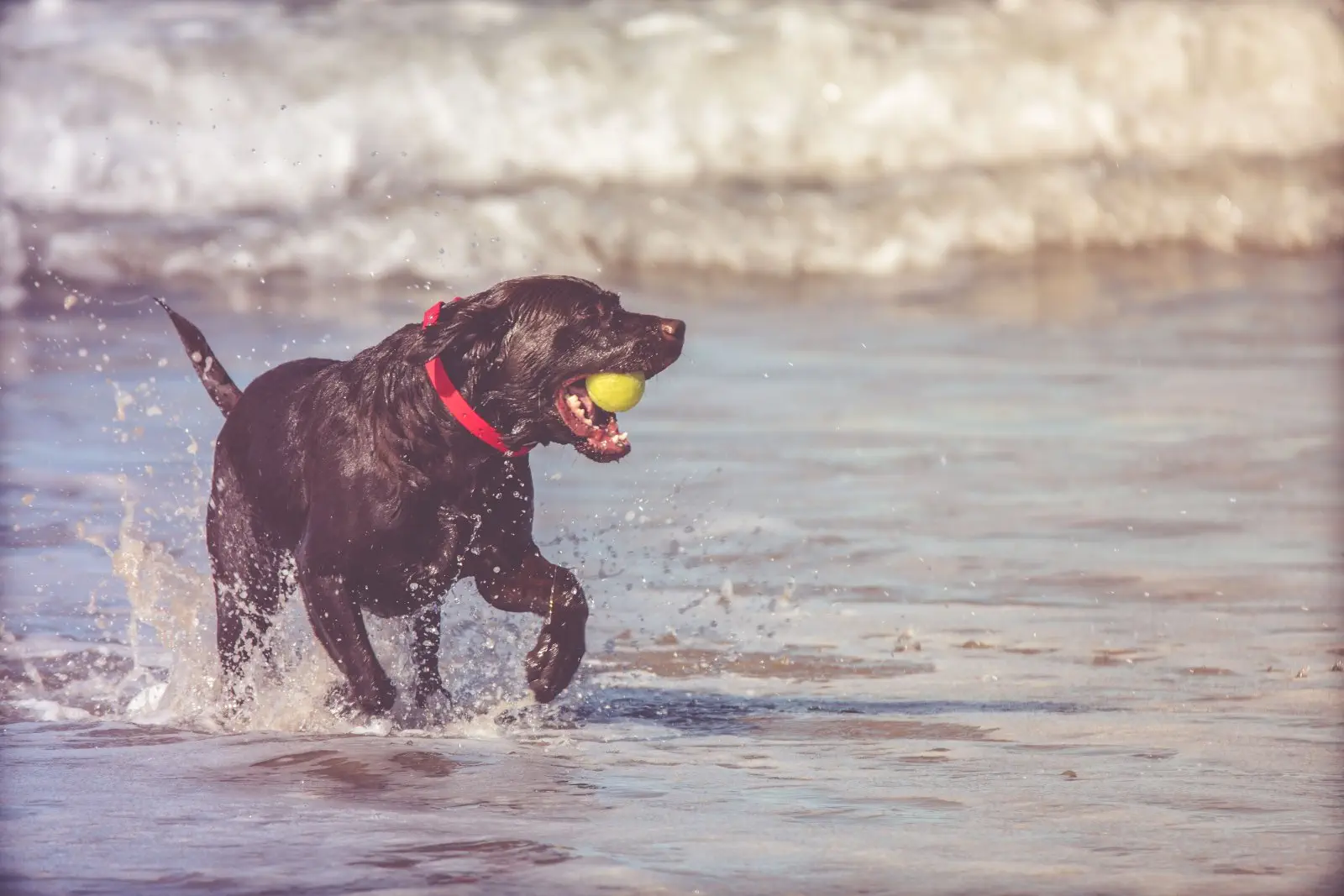 Image credit: Unsplash | troy williams