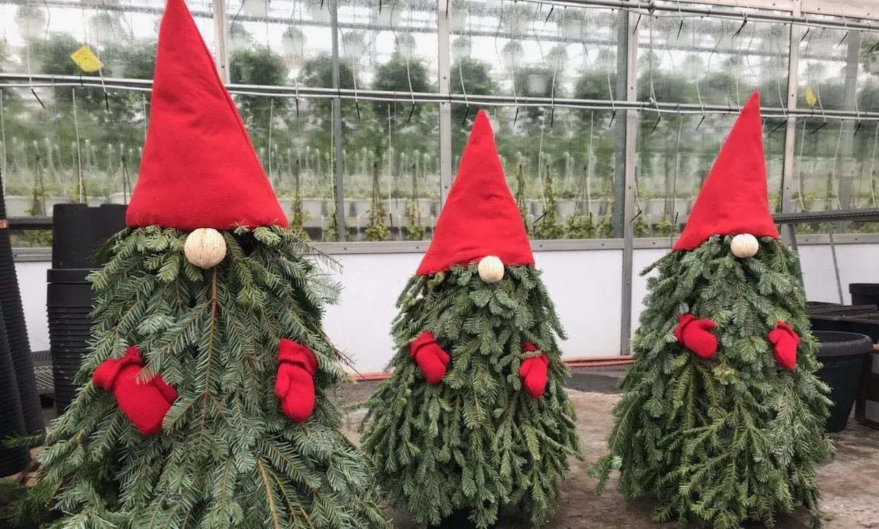Image credit: Century Greenhouses