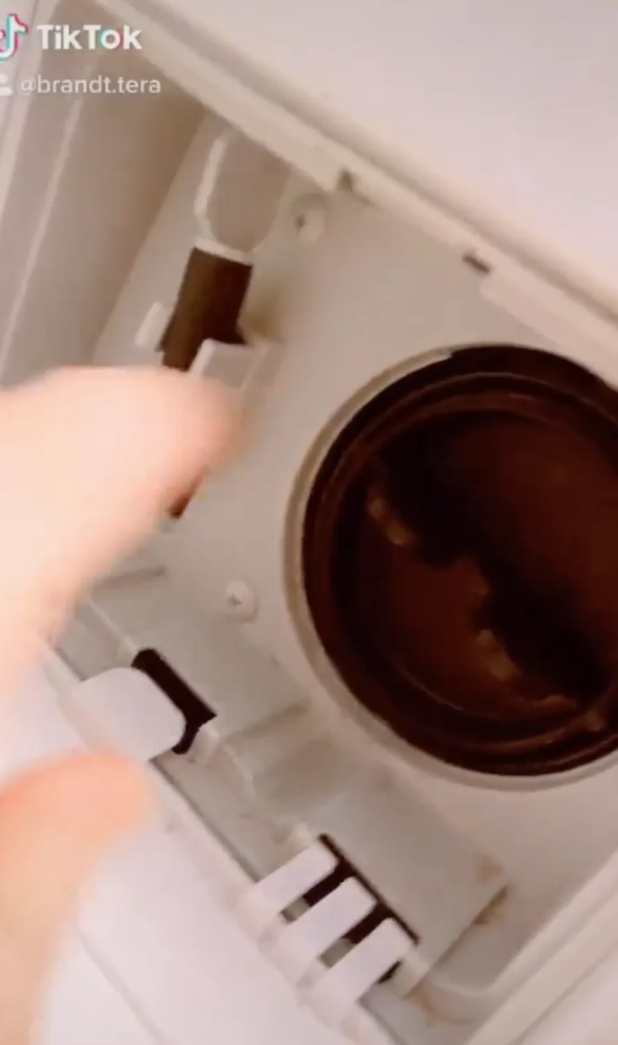 Image credit: TikTok | @speedcleaningqueen