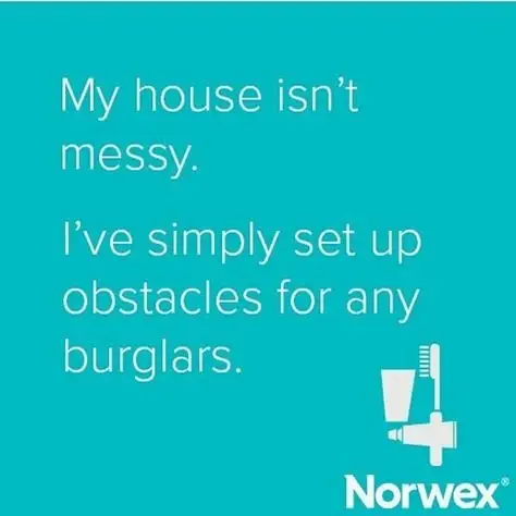 Image credit: Pinterest | Norwex