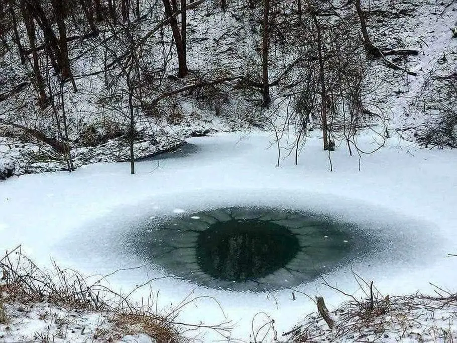Image credit: Reddit | dottyparker