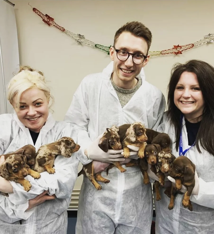 Image credit: Facebook | RSPCA Halifax, Huddersfield, Bradford & District Branch