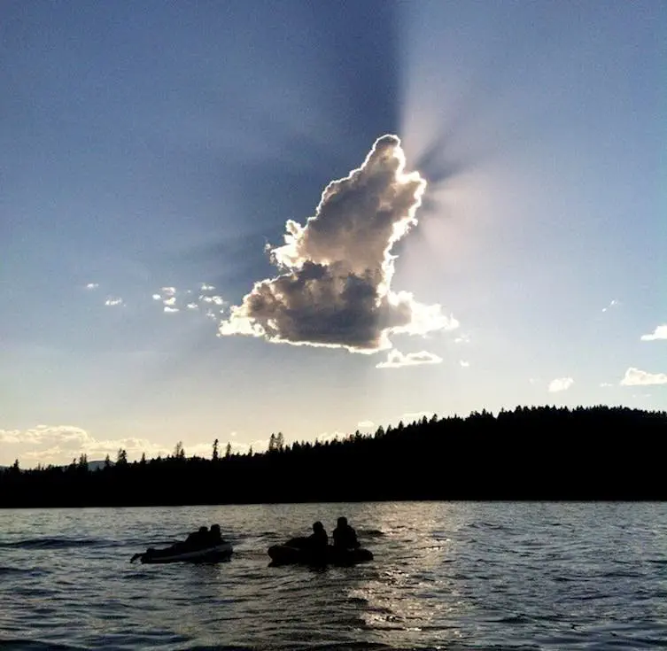 Image credit: Reddit | harshtea